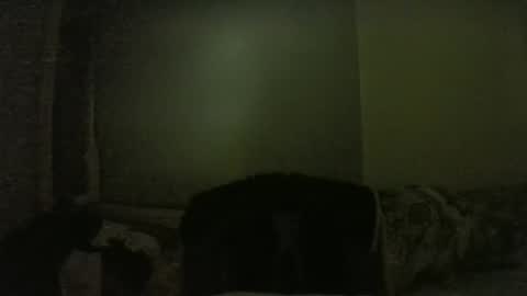 lily lovelyman online show from February 2025 06:08:02 PM