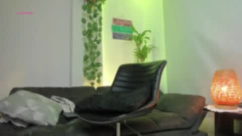 Snapshot of lincom_amith chatting on February 2025 10:05:02 AM lincom amith online show from February 2025 10:05:02 AM