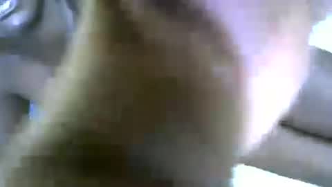 lioness online show from June 2026 09:14:02 AM