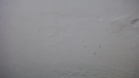 lisa_branch online show from November 2025 10:37:01 AM