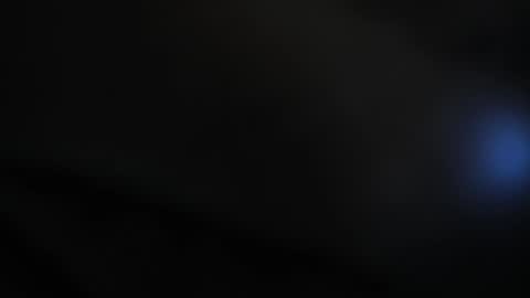 Lisa  online show from November 2025 11:49:01 AM