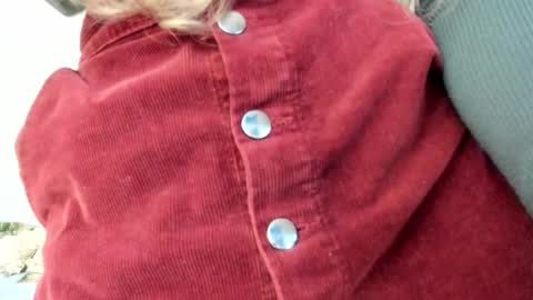 Lissa online show from October 2025 05:24:02 PM