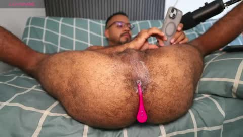 Little bear - give my room a like thanks. online show from April 2026 04:23:01 PM