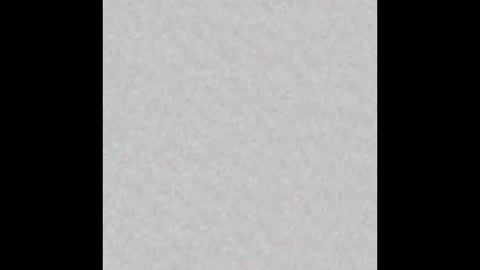 Adaline online show from February 2026 05:33:02 AM