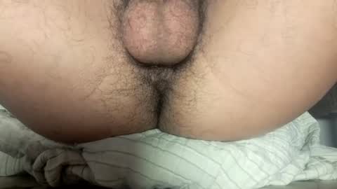 Snapshot of little_universe chatting on February 2025 12:49:01 AM Rick online show from February 2025 12:49:01 AM