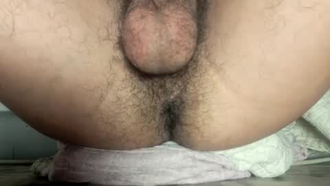 Snapshot of little_universe chatting on March 2025 11:54:01 PM Rick online show from March 2025 11:54:01 PM