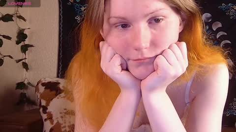 Snapshot of little_witch_sofia chatting on December 2024 09:08:02 PM Sofia online show from December 2024 09:08:02 PM