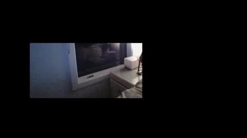 litzsa online show from February 2026 02:32:02 PM