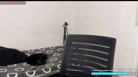 Liu help me to reach 100 thumps up daddy online show from April 2026 09:38:02 PM