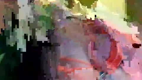 LIV LOMAX online show from June 2026 11:30:02 AM