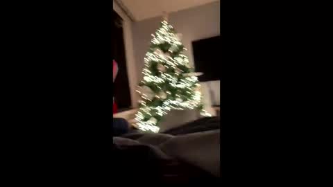 Cumshooter online show from December 2024 12:18:01 AM