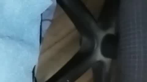 loco_boy007 online show from February 2026 07:10:01 PM