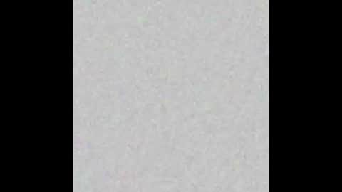 Your only Peach online show from September 2025 10:05:02 AM