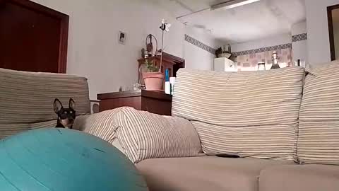 LOLA HUESO y ERIC online show from October 2025 08:06:01 AM