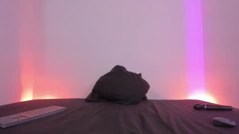 Snapshot of lolap_ chatting on January 2025 08:00:01 PM Lola online show from January 2025 08:00:01 PM