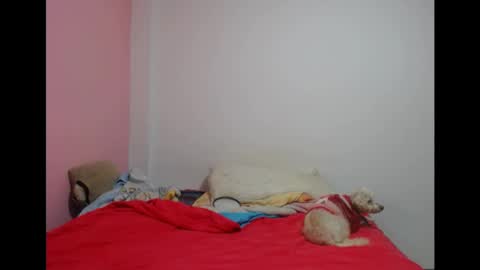 Snapshot of lolitabitchhorney_ chatting on May 2026 08:04:02 PM Lolita online show from May 2026 08:04:02 PM