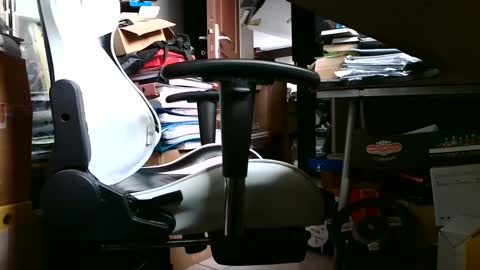 Pumabreizh online show from February 2025 04:41:02 PM
