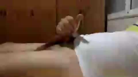 Handsome Cock online show from July 2026 10:53:01 PM