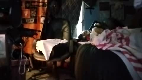 Mr. FogoDeChao online show from March 2026 05:31:01 PM