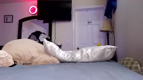 Snapshot of lookatmecum4you chatting on January 2025 11:32:02 AM lookatmecum4you online show from January 2025 11:32:02 AM