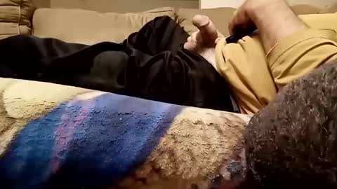 looking4bush online show from November 2025 04:46:01 AM