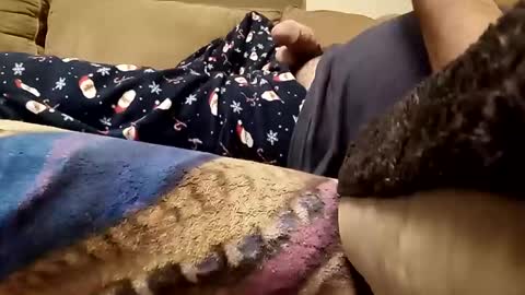 looking4bush online show from December 2025 02:42:02 AM