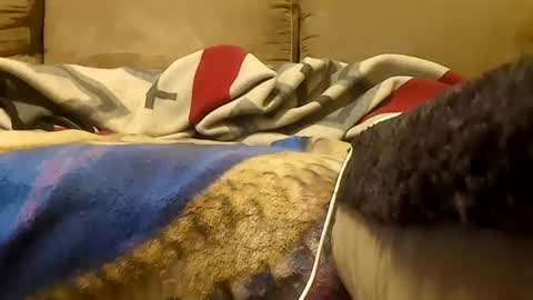 looking4bush online show from January 2026 05:55:01 AM