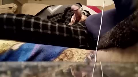 Snapshot of looking4bush chatting on March 2026 01:09:02 AM looking4bush online show from March 2026 01:09:02 AM