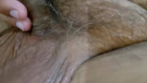 2791 3D online show from January 2026 09:11:02 AM