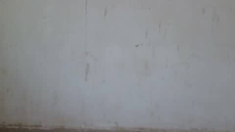 Snapshot of loraa_baby chatting on June 2026 12:49:01 AM Loraa online show from June 2026 12:49:01 AM