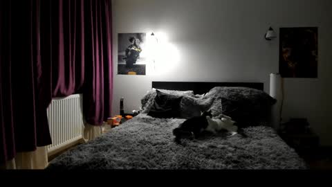 Snapshot of loraflame chatting on January 2025 06:41:02 PM Lora online show from January 2025 06:41:02 PM