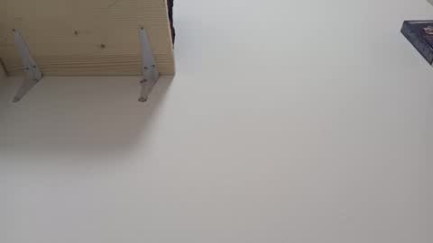 Snapshot of loraflame chatting on January 2025 01:41:02 PM Lora online show from January 2025 01:41:02 PM