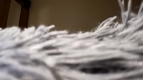 Snapshot of loraflame chatting on January 2025 08:05:02 PM Lora online show from January 2025 08:05:02 PM