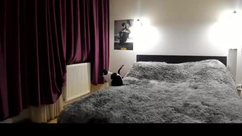 Snapshot of loraflame chatting on February 2025 05:53:01 PM Lora online show from February 2025 05:53:01 PM