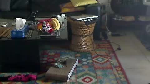 Lord Jim online show from June 2026 03:49:02 PM