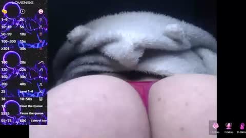 lorenitha online show from June 2026 03:47:01 PM