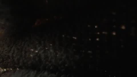 Snapshot of louis_bcasta1 chatting on January 2025 11:01:02 AM OF louis bcasta1 online show from January 2025 11:01:02 AM