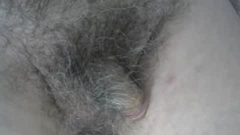 loveabush49 online show from November 2025 08:53:02 PM