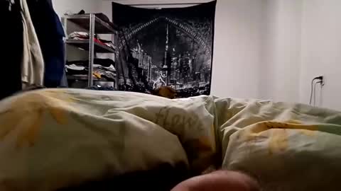 Snapshot of loveslick583698 chatting on December 2024 05:28:02 AM Lovetlick online show from December 2024 05:28:02 AM