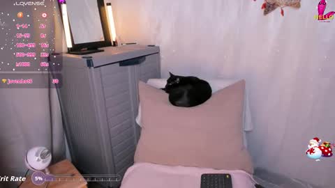 Danna online show from December 2025 10:52:01 PM