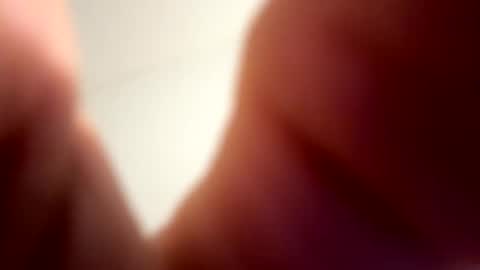 low8911 online show from February 2026 05:41:02 AM