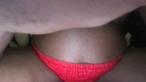 Dynasty online show from April 2026 03:37:02 AM