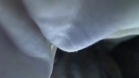Milk Me online show from May 2026 09:12:01 PM