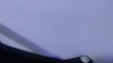 Luci online show from March 2026 02:04:02 AM