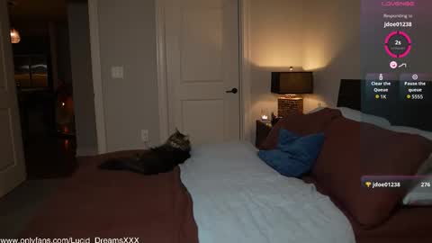 Lucid Lu online show from October 2025 12:00:02 AM