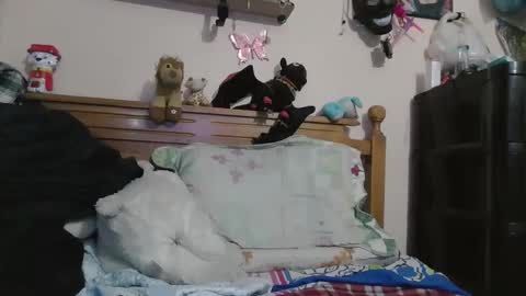 luismiastarot online show from October 2025 01:53:02 AM