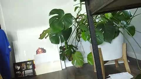 Luke online show from March 2026 07:31:01 PM