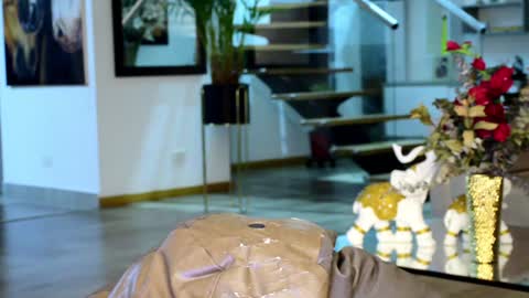 Lukhas f4f online show from February 2025 05:07:02 AM