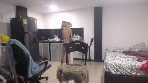 Luna online show from March 2025 07:05:02 PM