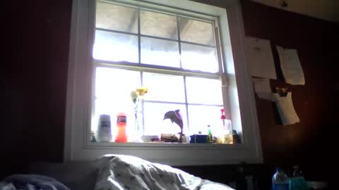 lunasecretadmirer online show from February 2026 07:21:01 PM